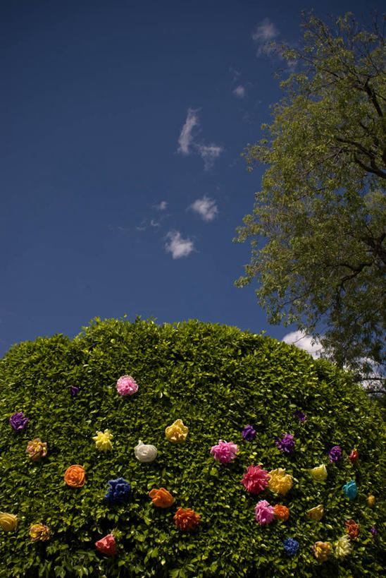 无人,竖图,室外,白天,聚会,时尚,美景,墨西哥,庆祝,装饰,景观,树,绿色,天空,自然,纸花,纸制品,天,t台,景色,摄影,创造力,拉丁美洲,自然风光,万里无云,墨西哥文化,无花果树,时装表演,时装秀,t型台,走秀,彩图,传统文化