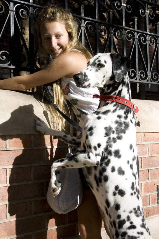 西方人,儿童,少年,头发,一个人,栏杆,站,笑,微笑,露齿笑,竖图,室外,白天,侧面,友谊,宠物,狗,欧洲,欧洲人,仅一个男性,仅一个年轻女性,仅一个女性,仅一个人,阴影,服装,大麦町,墙,围墙,首都,注视,仅一个年轻男性,衣服,动物,观察,看,金色,家畜,乐趣,平衡,摄影,服饰,生活方式,观看,察看,享乐,衣着,穿着,关注,近景,狗链,衣饰,布宜诺斯艾利斯,男人,男性,年轻男性,年轻女性,女孩,女人,女性,白种人,长发,上装,休闲活动,彩图,好奇心,纯种犬,宠物项圈