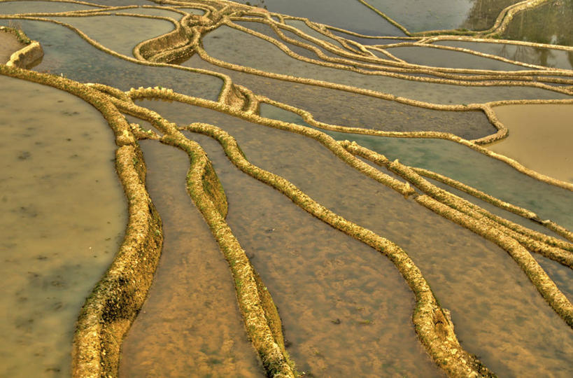 无人,横图,室外,白天,旅游,度假,农业,梯田,美景,水,稻田,地形,景观,娱乐,风景,自然,享受,休闲,景色,放松,摄影,生长,宁静,中国文化,自然风光,元阳,云南省,彩图