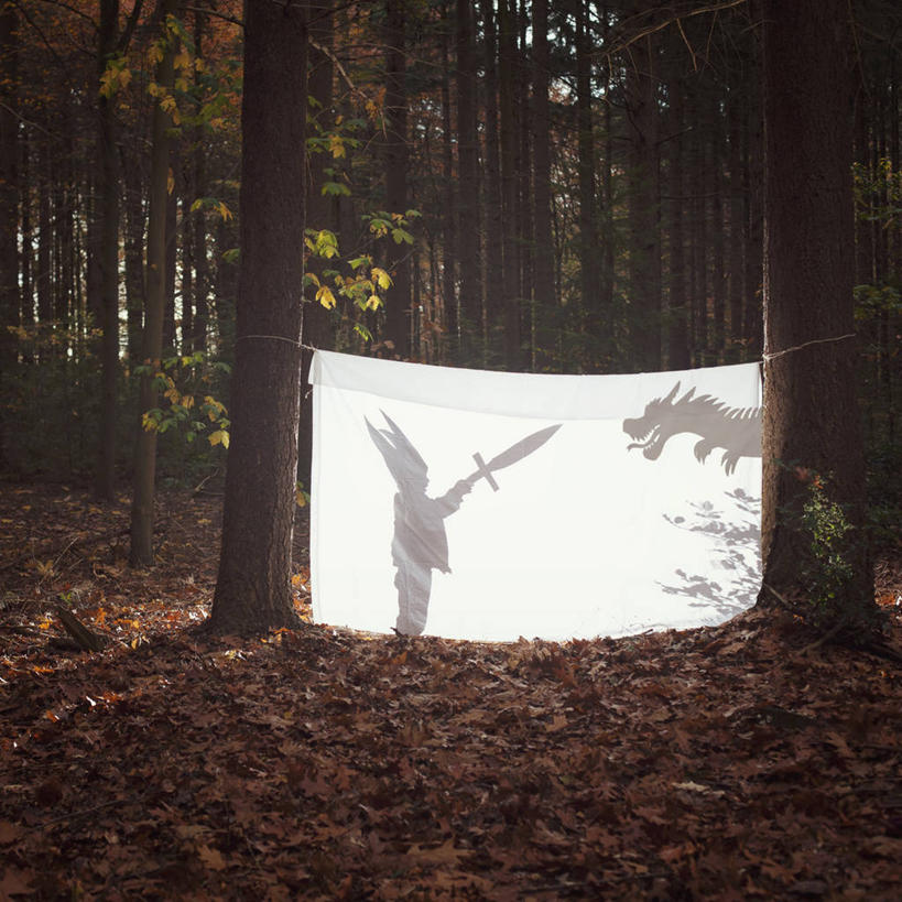 无人,方图,室外,白天,森林,叶子,纺织品,荷兰,龙,树,树干,白色,童年,摄影,创造力,剑,想象,杀害,想法,彩图