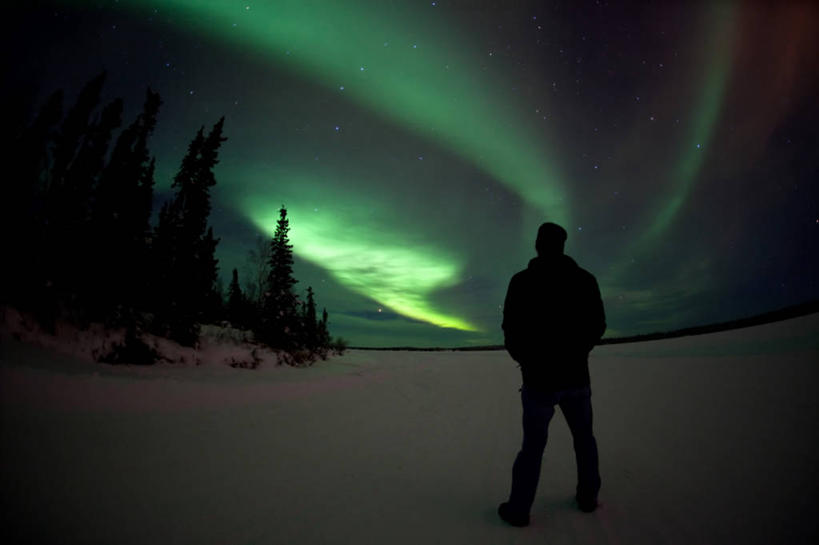 一个人,横图,室外,夜晚,旅游,度假,探险,神秘,美景,雪,加拿大,仅一个男性,朦胧,模糊,发光,景观,冬天,娱乐,树,风景,自然,享受,休闲,景色,放松,摄影,怪异,自然风光,剪影,耶洛奈夫,冒险,北极光