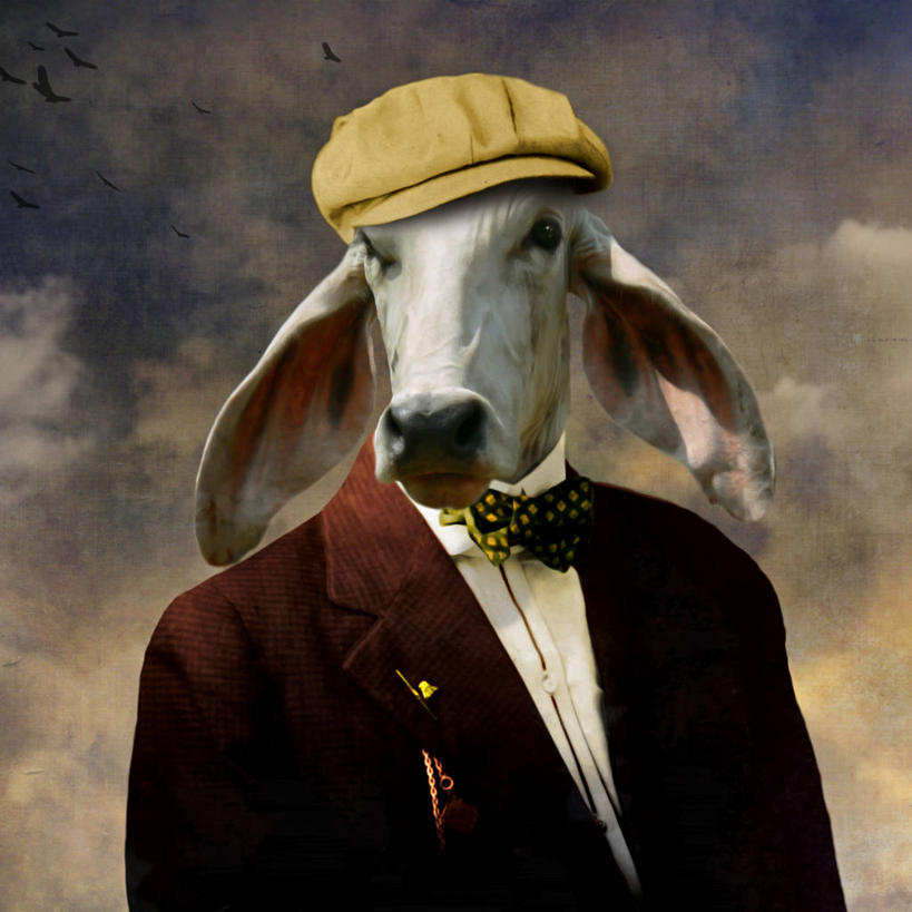 成年人,脸,头,脸颊,一个人,站,方图,特写,正面,牛,帽子,法国,仅一个男性,朦胧,模糊,肩膀,衣服,鸭舌帽,家畜,模仿,摄影,牲畜,幽默,身份,中欧,母牛,想法,头部,脸部,脸蛋,面部,家牛