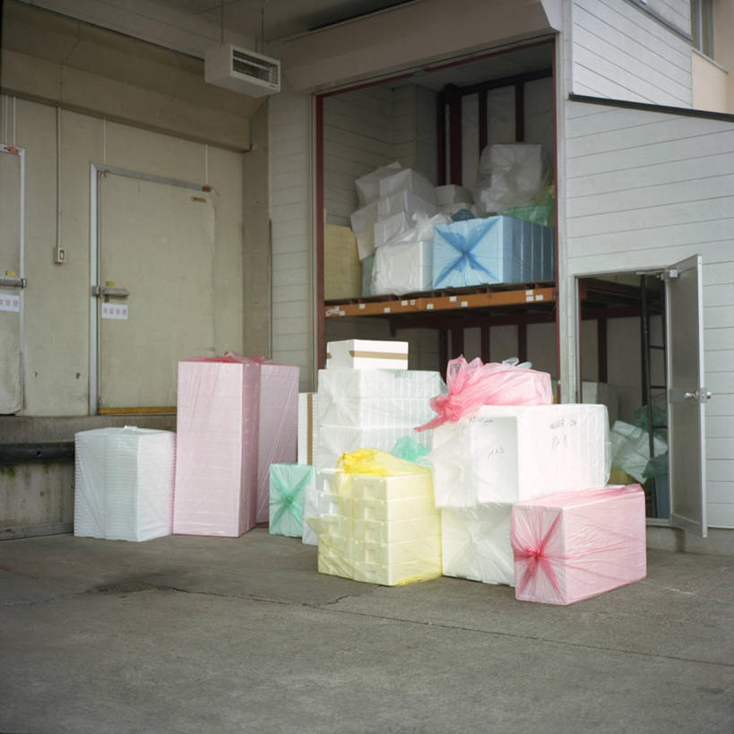 无人,方图,室内,白天,门,礼物,日本,许多,庆祝,包装纸,纸,缎带,很多,盒子,蝴蝶结,打开,打结,摄影,惊奇,开启,东亚,聚苯乙烯