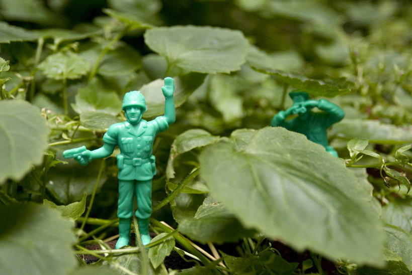 无人,横图,室外,白天,玩具,叶子,英国,欧洲,伦敦,士兵,枪支,庭院,首都,绿色,武器,童年,摄影,幽默,权威,西欧,北欧,大不列颠,军队,大不列颠及北爱尔兰联合王国,大不列颠及爱尔兰联合王国,双筒望远镜,雾都,想法,大不列颠王国,大英帝国,联合王国,日不落帝国,光学仪器