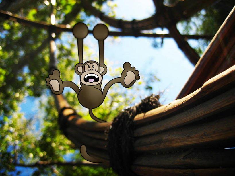 横图,室外,野生动物,猴子,美国,吊挂,悬挂,挂,数码合成,树,绳子,张嘴,摄影,宁静,幽默,北美,北美洲,加利福尼亚,美洲,张大嘴巴,圣地牙哥市,北亚美利加洲,亚美利加洲,圣迭戈县,张开嘴,彩图,美利坚合众国