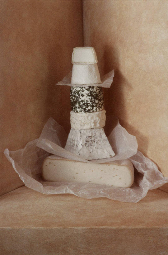 奶酪,无人,竖图,留白,静物,橙色背景,堆叠,饮食,摄影,多样,清新,山羊乳酪,工匠,彩图,影棚拍摄