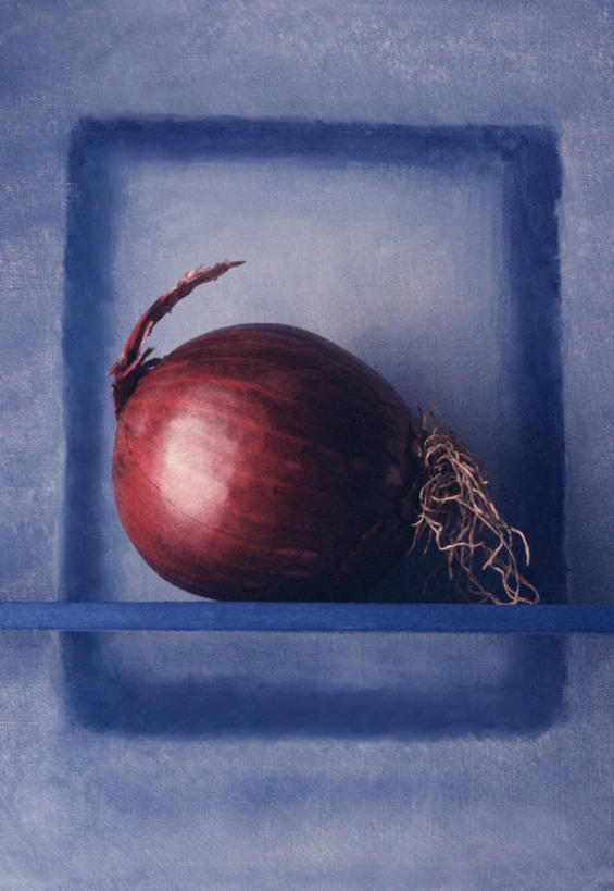 无人,竖图,特写,留白,洋葱,静物,蓝色背景,生食,饮食,架子,一个,摄影,单个,健康食物,彩图,影棚拍摄