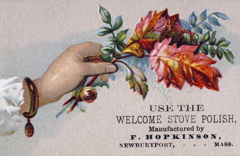 成年人,手,一个人,横图,插画,数码,科技,叶子,仅一个女性,阴影,网络,明信片,高光,几何,计算机图形,古典,合成,图画,拿着,广告,画,自然,人体,手镯,英文字母,怀旧,电脑合成图,数码合成图,高雅,简单,合成图,记忆,漫画,写实,具体,具象,美术工艺,大写字母,彩图,影棚拍摄