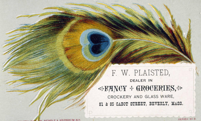 无人,横图,插画,数码,科技,孔雀,阴影,网络,高光,几何,计算机图形,古典,合成,图画,广告,画,一个,单个,英文字母,怀旧,电脑合成图,数码合成图,合成图,记忆,漫画,写实,具体,具象,美术工艺,大写字母,彩图,影棚拍摄