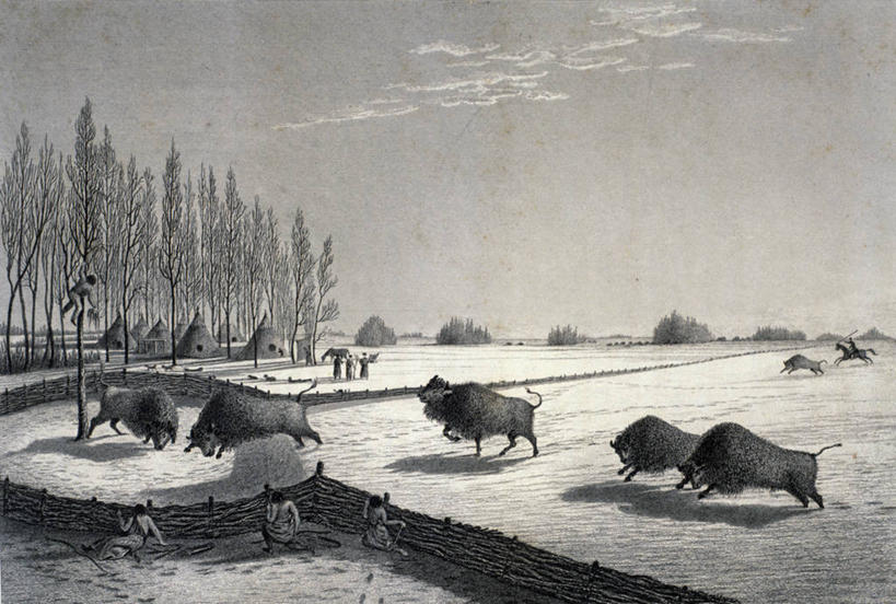 成年人,三个人,蹲,横图,黑白,插画,室外,白天,旅游,度假,数码,科技,美景,哺乳动物,野生动物,阴影,网络,捕食,帐篷,地形,景观,篱笆,田地,高光,几何,计算机图形,合成,图画,娱乐,画,树,风景,自然,动物,享受,休闲,景色,放松,电脑合成图,数码合成图,合成图,自然风光,露营,野营,漫画,宿营,写实,具体,具象,布法罗,美术工艺,棚屋,动物行为