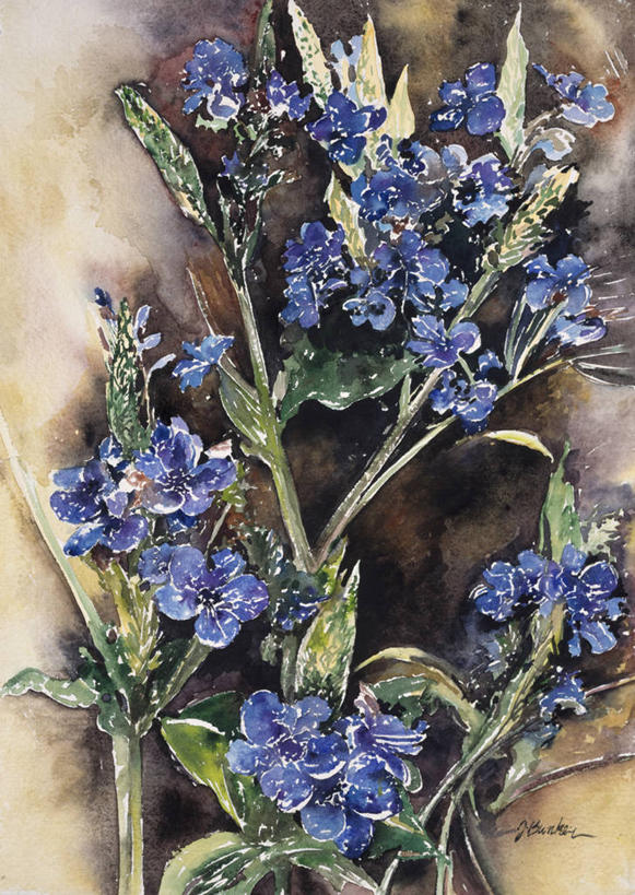 无人,竖图,插画,室内,特写,绘画,数码,科技,美景,静物,阴影,艺术,网络,景观,茎,高光,几何,计算机图形,古典,合成,图画,文化,画,花,花朵,蓝色,自然,工艺品,品味,景色,颜料,美术,电脑合成图,数码合成图,高雅,合成图,清新,自然风光,漫画,写实,具体,具象,蓝茉莉,美学,美术工艺,彩图