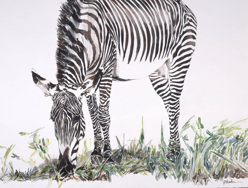 无人,站,横图,插画,室外,白天,绘画,数码,科技,斑马,野生动物,非洲,肯尼亚,阴影,条纹,艺术,网络,高光,几何,计算机图形,古典,合成,图画,文化,画,草,工艺品,品味,颜料,美术,电脑合成图,数码合成图,高雅,合成图,漫画,写实,具体,具象,美学,美术工艺,细斑马,彩图,动物学