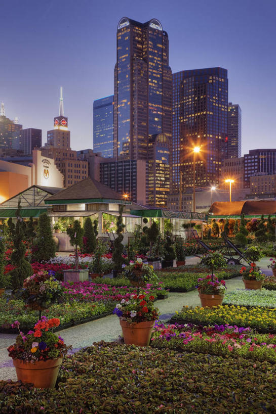 无人,竖图,室外,度假,美景,日落,天际线,城市风光,城市,建筑,路灯,摩天大楼,美国,景观,塔,市场,娱乐,现代,花,树,花市,黄昏,享受,休闲,景色,放松,零售,摄影,照亮,北美,脆弱,清新,市区,德克萨斯,万里无云,达拉斯市,彩图