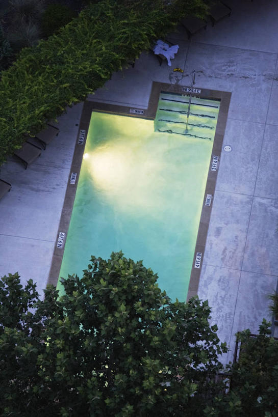 无人,游泳池,竖图,俯视,室外,白天,水,日光,美国,反射,树,摄影,北美,德克萨斯,奥斯汀镇,树篱,彩图,高角度拍摄