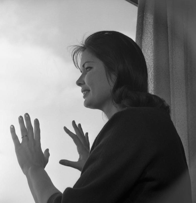 西方人,成年人,中年人,脸,头,脸颊,一个人,举,竖图,方图,黑白,室内,白天,侧面,窗户,窗帘,欧洲,纽约,美国,欧洲人,仅一个女性,仅一个人,古典,注视,肩膀,观察,看,靠,靠着,托,仅一个中年女性,摄影,观看,察看,关爱,关注,等,女人,女性,中年女性,白种人,头部,长发,脸部,脸蛋,面部,举起,举手,举着,向上举,向上伸,向上托