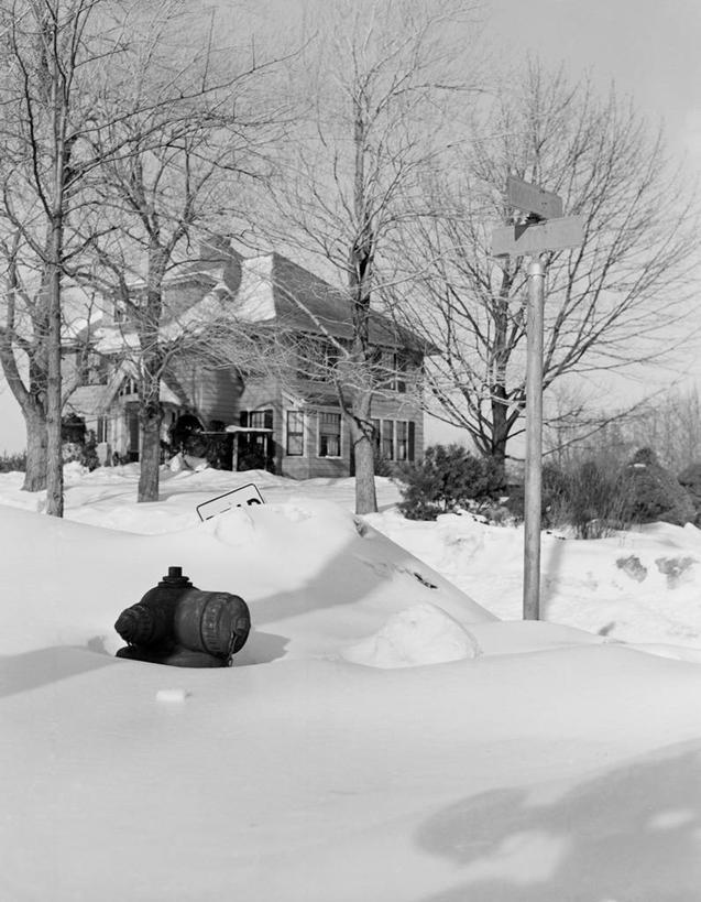 无人,横图,竖图,黑白,室外,白天,美景,雪,消防栓,景观,冬天,城镇,风景,自然,景色,寒冷,摄影,宁静,自然风光