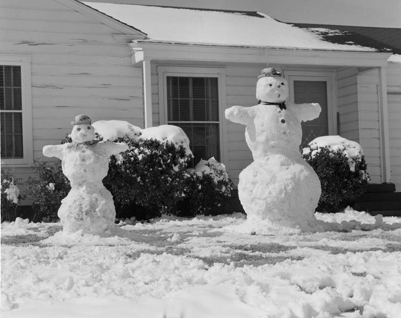 无人,横图,黑白,室外,白天,雪,建筑,纽约,美国,房屋,庭院,雪人,冬天,寒冷,童年,摄影,灌木,纽约州