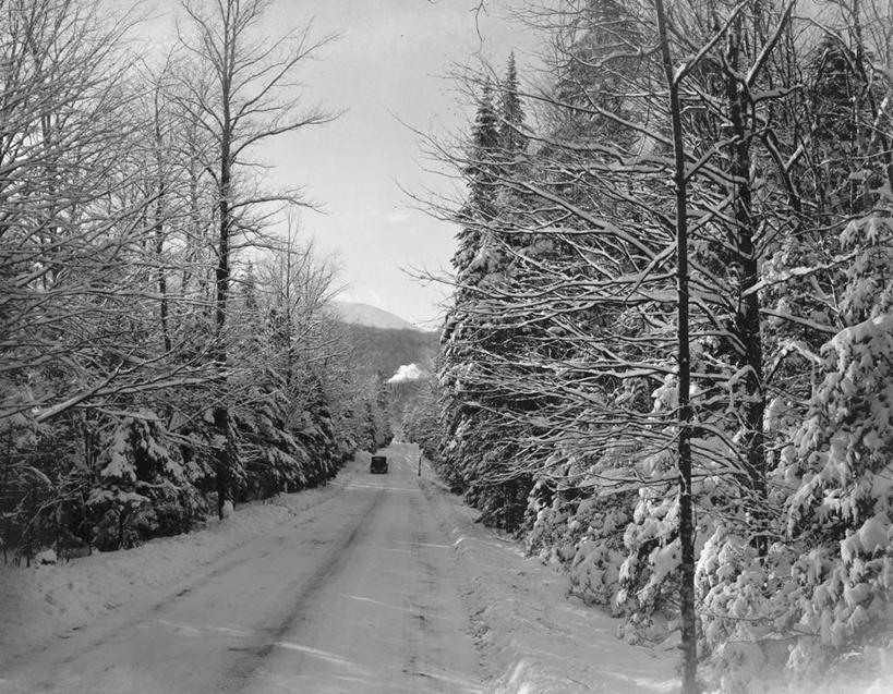 无人,横图,黑白,室外,白天,森林,雪,路,美国,冬天,树,摄影,北美,北美洲,美洲,新罕布什尔州,北亚美利加洲,亚美利加洲,新罕布什尔,新罕布夏州,花岗岩州,花冈岩之州,滑雪之州,新英格兰,白山山脉,纽英仑,美利坚合众国