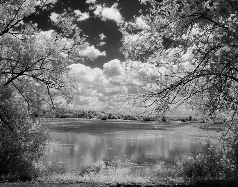 无人,公园,横图,黑白,室外,白天,旅游,度假,河流,美景,美国,丰富,反射,地形,景观,云,娱乐,树,自然,享受,休闲,景色,放松,摄影,宁静,北美,北美洲,自然风光,美洲,北亚美利加洲,亚美利加洲,密歇根,密歇根州,貂熊州,狼獾之州,狼獾州,安娜堡,美利坚合众国