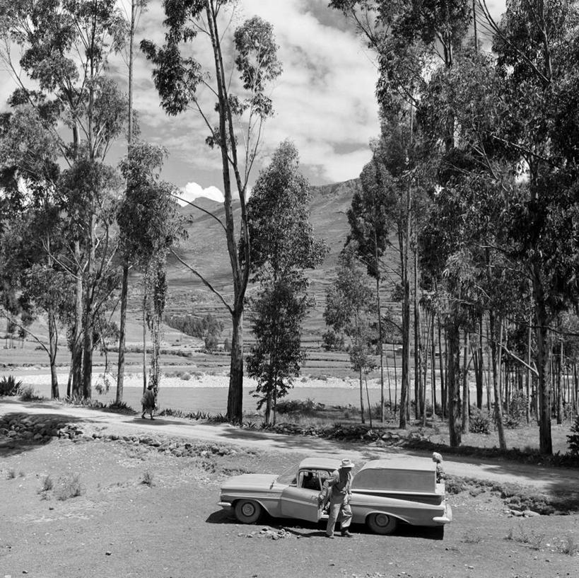 成年人,一个人,横图,俯视,黑白,室外,旅游,度假,复古,美景,水,路,汽车,秘鲁,仅一个男性,景观,云,娱乐,树,天空,自然,享受,休闲,景色,放松,运输,摄影,高,停止,自然风光,暂停,停滞,高角度拍摄,绿化隔离带