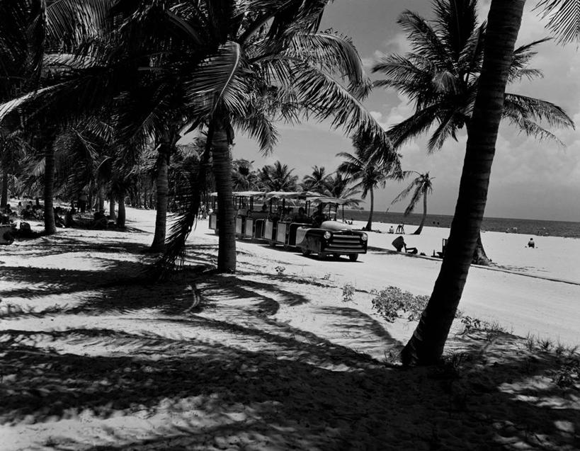 横图,黑白,室外,白天,旅游,度假,海洋,棕榈树,美国,娱乐,享受,休闲,放松,摄影,北美,北美洲,美洲,佛罗里达,佛罗里达州,迈阿密,佛州,阳光州,北亚美利加洲,亚美利加洲,海滩,美利坚合众国