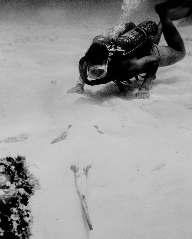 成年人,一个人,竖图,黑白,水下,美国,仅一个男性,潜水,摄影