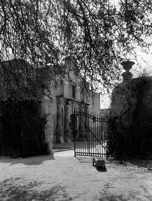 无人,竖图,黑白,室外,白天,建筑,日光,美国,柱子,大门,墙,围墙,历史,废墟,树,地标建筑,摄影,德克萨斯,圣安东尼奥市,旅行