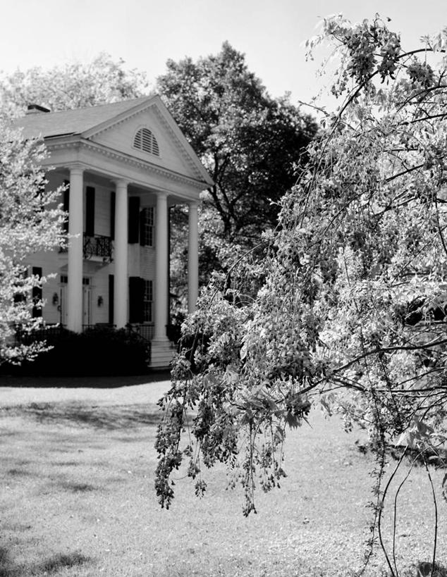 无人,竖图,黑白,室外,白天,草坪,建筑,美国,丰富,盛开,柱子,紫藤,枝,花蕾,花,花瓣,花朵,鲜花,树,春天,花苞,花蕊,摄影,生长,高雅,豪宅,古典风格