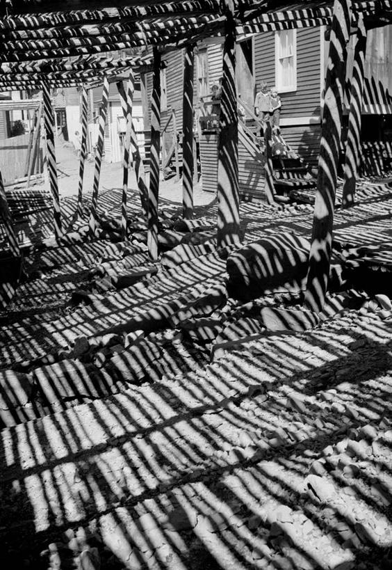 竖图,黑白,室内,白天,日光,加拿大,阴影,热,棚,摄影,纽芬兰,烘干,海产,圣约翰