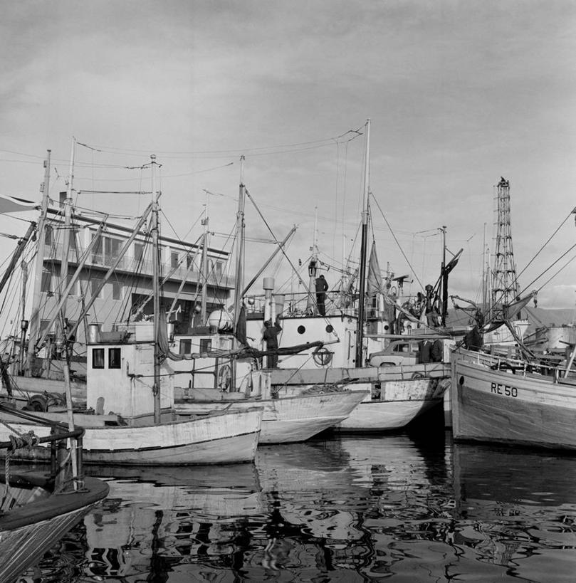竖图,方图,黑白,室外,白天,渔业,海洋,冰岛,美国,首都,运输,摄影,雷克雅未克,海港