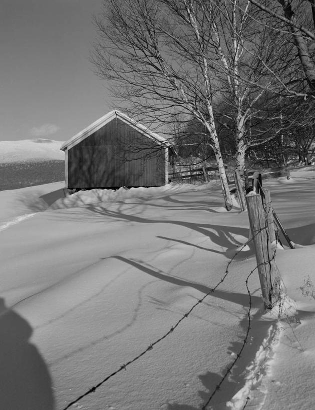 无人,农场,竖图,黑白,室外,白天,美景,雪,美国,景观,田地,冬天,自然,景色,摄影,白桦,宁静,北美,北美洲,自然风光,美洲,新罕布什尔州,北亚美利加洲,亚美利加洲,新罕布什尔,新罕布夏州,花岗岩州,花冈岩之州,滑雪之州,新英格兰,兰开斯特,纽英仑,美利坚合众国