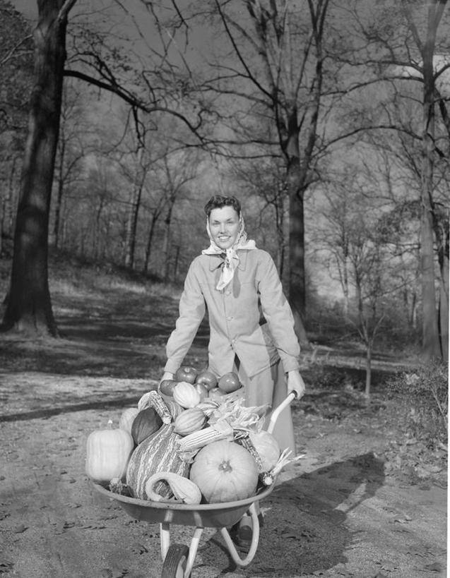 成年人,一个人,农场,站,推,微笑,竖图,黑白,室外,白天,正面,旅游,度假,农业,美景,森林,南瓜,美国,仅一个年轻女性,仅一个女性,仅一个人,头巾,头饰,地形,景观,园艺,拿着,休闲装,娱乐,树,自然,发饰,享受,休闲,景色,放松,摄影,多样,自然风光,肖像,独轮手推车,年轻女性,女人,女性,年轻人