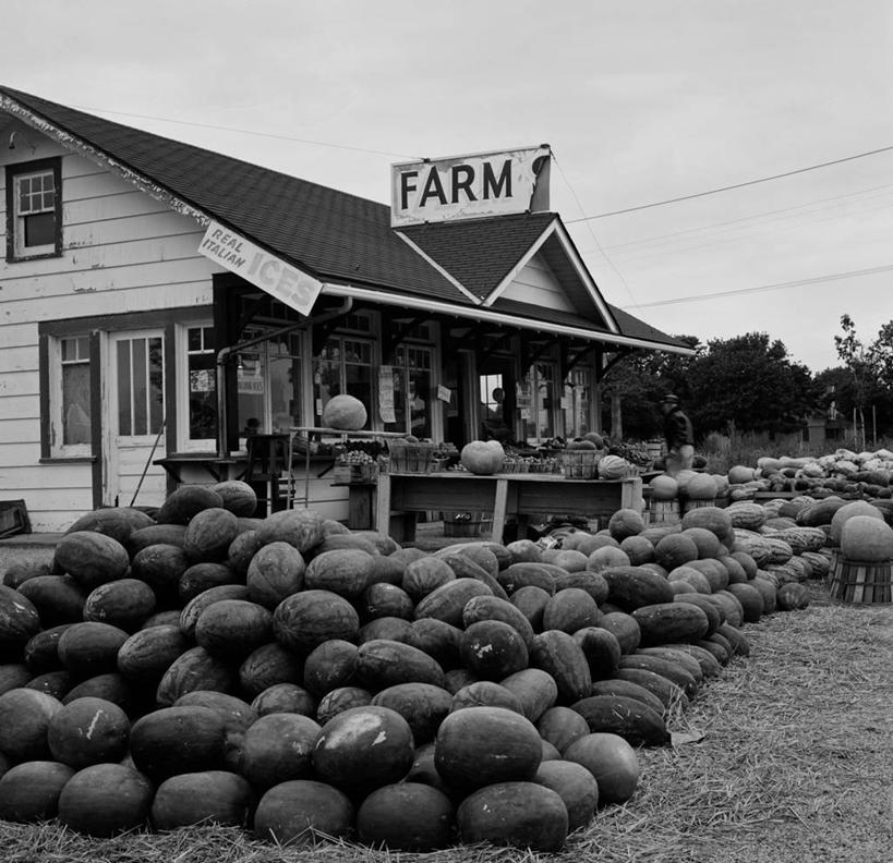 无人,农场,商店,横图,方图,黑白,室外,白天,农业,指示牌,西瓜,南瓜,美国,许多,丰富,标志,文字,房屋,很多,标识,饮食,摄影,有机食品,堆,英文字母,南瓜地,健康食物,农舍