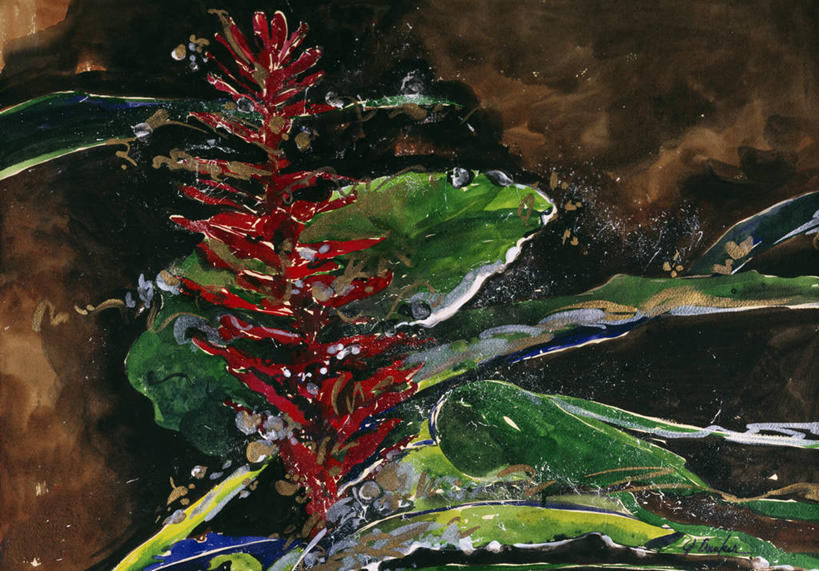 无人,横图,插画,室外,白天,绘画,数码,科技,美景,叶子,阴影,艺术,盛开,网络,景观,高光,几何,计算机图形,古典,合成,花蕾,图画,文化,画,花,花瓣,花朵,鲜花,一朵,红色,自然,工艺品,花苞,花蕊,品味,景色,美术,电脑合成图,数码合成图,高雅,脆弱,简单,合成图,清新,自然风光,漫画,20世纪,写实,具体,具象,美学,美术工艺,彩图