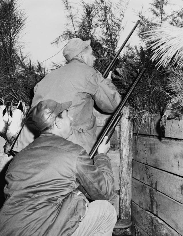 成年人,中年人,老年人,一个人,两个人,站,蹲,竖图,黑白,室外,白天,侧面,合作,团队,照明,美国,仅一个男性,仅一个人,仅一个中年男性,篱笆,灯光,拿着,灯,灯具,猎枪,鸭舌帽,摄影,照亮,照明设备,闪光灯,猎人,老年男性,男人,男性,中年男性