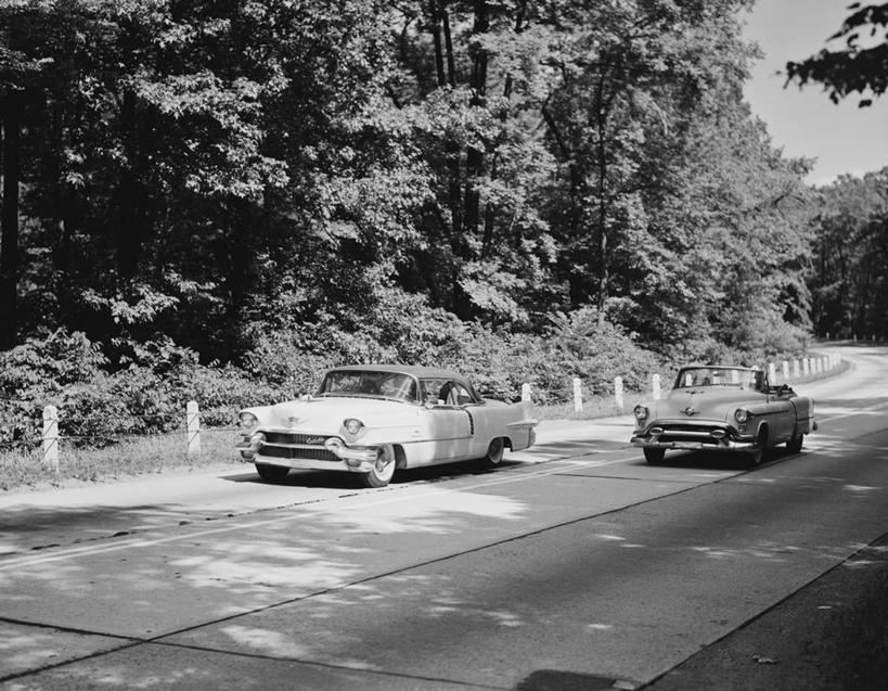 无人,横图,黑白,室外,白天,旅游,森林,路,公路,汽车,美国,树,运输,摄影,驾车,康涅狄格州,旅行