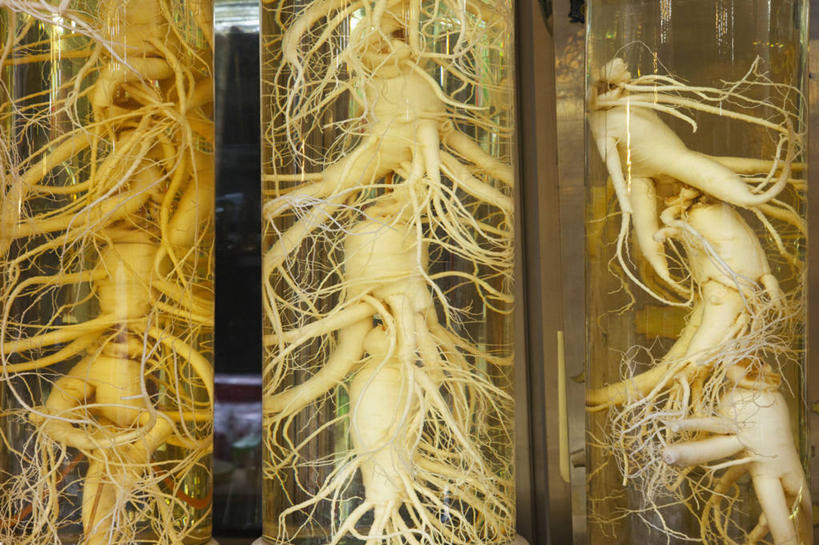 无人,商店,横图,室外,特写,白天,首尔,韩国,根部,草药,首都,货摊,瓶子,摄影,草本,广口瓶,健康食物,朝鲜半岛,南大门,彩图,传统文化