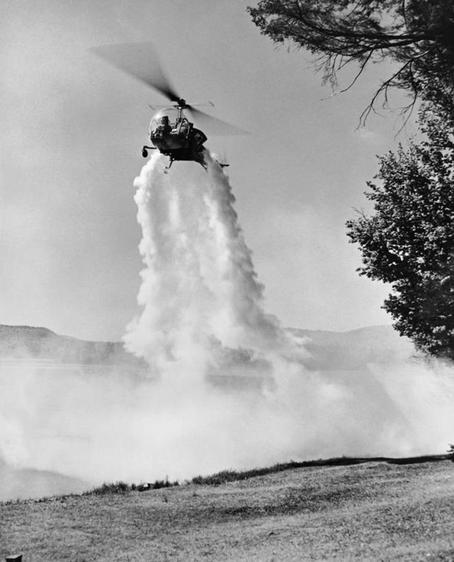 无人,农场,竖图,黑白,室外,白天,仰视,农业,农作物,机器,美景,喷,飞溅,景观,田地,半空,飞,树,天空,自然,机械,景色,摄影,保护,直升机,控制,飞行器,自然风光,喷雾器,杀虫剂,低角度拍摄