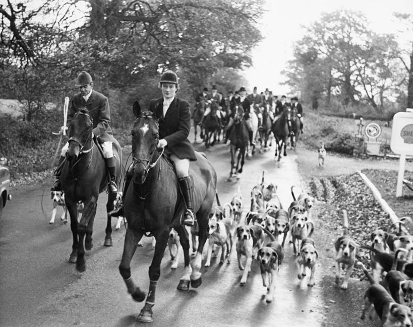 横图,黑白,室外,白天,锻炼,快乐,比赛,运动,竞争,路,狗,马,英国,欧洲,一群,许多,骑马,朦胧,模糊,很多,许多人,古典,娱乐,英格兰,树,一群人,休闲,家畜,摄影,体育运动,英国文化,猎人,跟随,萨默塞特,冒险,体育,休闲活动,健身,传统文化,上层阶级