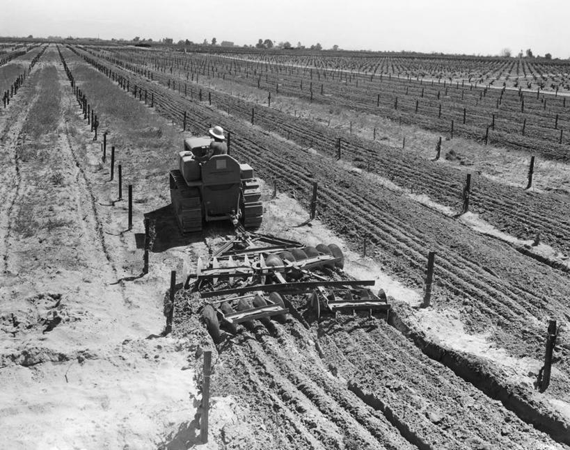 一个人,农民,坐,横图,俯视,黑白,室外,白天,农业,机器,美景,汽车,美国,准备,朦胧,模糊,地平线,景观,田地,辽阔,地面,葡萄园,车,天空,自然,交通工具,广阔,机械,木桩,景色,摄影,一望无际,北美,加利福尼亚,自然风光,载具,延伸,拖拉机,农具,天地相交,耕具,无边无际,一马平川,半身,高角度拍摄,耕地,弗雷斯诺,农业机械