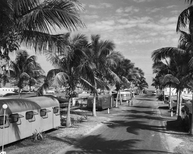 无人,横图,黑白,室外,白天,路,棕榈树,美国,阴影,树,天空,社区,摄影,退休,北美,北美洲,美洲,佛罗里达,好莱坞,佛罗里达州,佛州,阳光州,北亚美利加洲,亚美利加洲,美利坚合众国,房屋建设