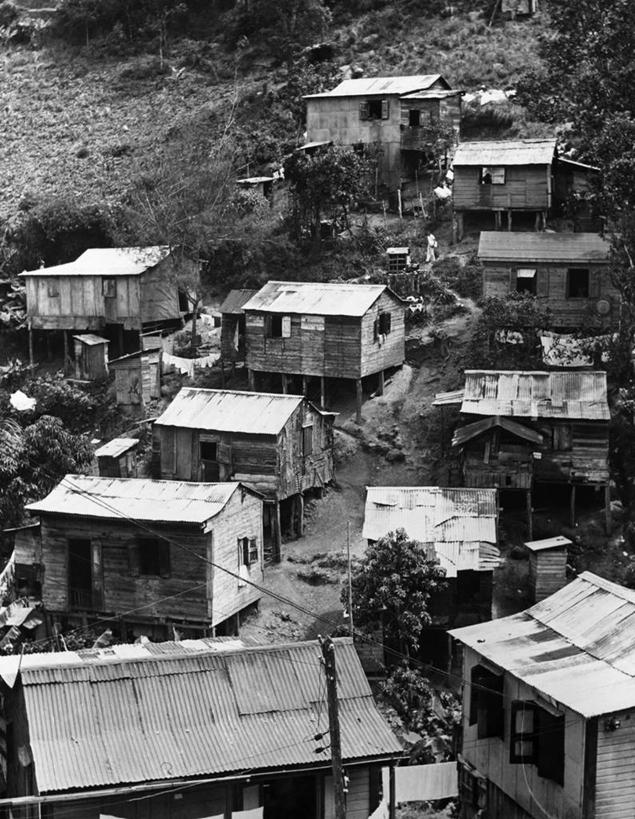 无人,竖图,俯视,黑白,室外,白天,山,窗户,加勒比海,美国,房屋,屋顶,杆,树,大西洋,摄影,北美,住房,西印度群岛,贫穷,波多黎各,高角度拍摄,社会问题