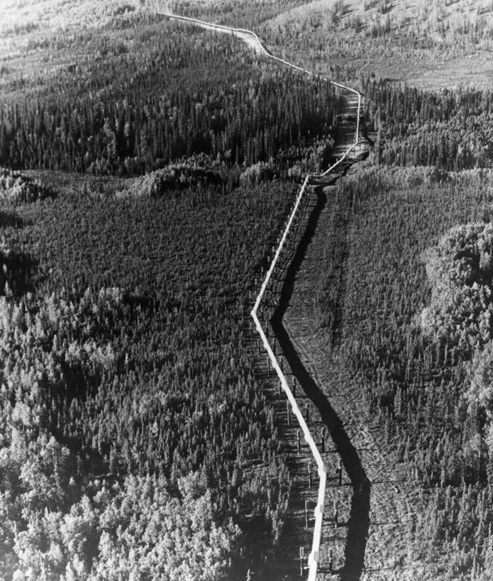 无人,竖图,俯视,黑白,室外,白天,建材,金属制品,美国,金属,管子,地形,管道,树,钢管,工业,摄影,石油工业,北美,建筑材料,阿拉斯加,高角度拍摄,输油管道