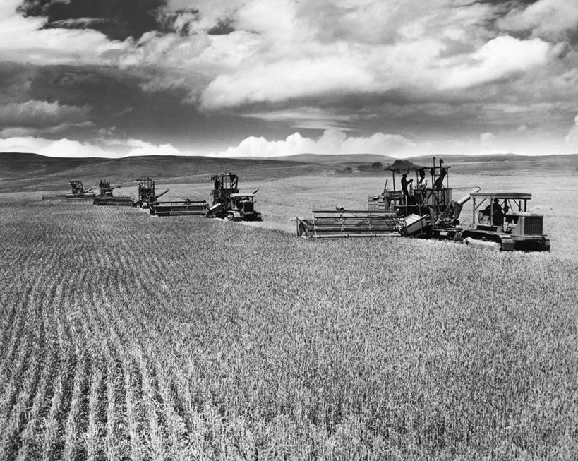 人群,农民,横图,黑白,室外,白天,农业,农作物,小麦,美景,朦胧,模糊,地形,景观,田地,云,天空,自然,景色,摄影,收获,自然风光,农具,联合收割机,耕具