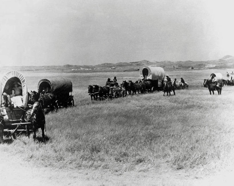 西方人,成年人,人群,牛仔,横图,室外,白天,旅途,草原,马,野生动物,欧洲,美国,欧洲人,一群,许多,覆盖,骑马,工作,地形,马车,很多,古典,刺激,草,骑,天空,动物,平原,职业,家畜,摄影,巨大,庞大,生活方式,北美,北美洲,主题,美洲,北亚美利加洲,亚美利加洲,搬迁,探险家,宏大,硕大,伟大,开端,冒险,女人,白种人,彩图,旅行,机遇,美利坚合众国,篷车,过去