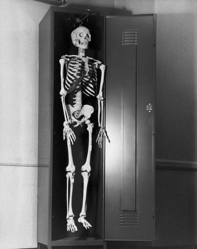 骨骼,无人,竖图,黑白,室内,神秘,吊挂,悬挂,骨头,储物柜,挂,打开,探索,人体,摄影,怪异,死亡,骨架,隐藏,开启,恐怖,私密,结束,惊骇,人体结构