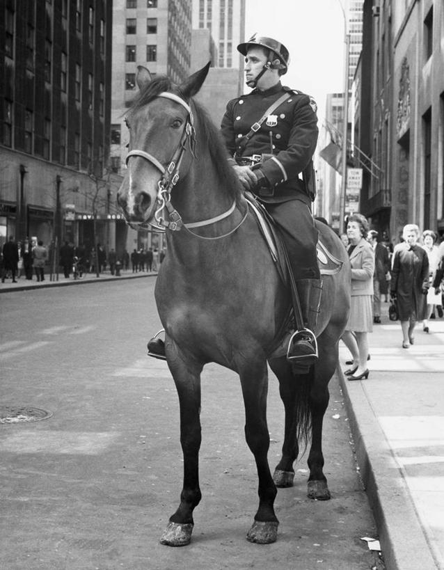 西方人,成年人,中年人,老年人,一个人,竖图,黑白,室外,白天,安全,城市,街道,路,马,欧洲,欧洲人,骑马,头盔,人行道,职业,服务,摄影,保护,权威,缰绳,警官,警服,老年男性,中年男性,白种人,法律