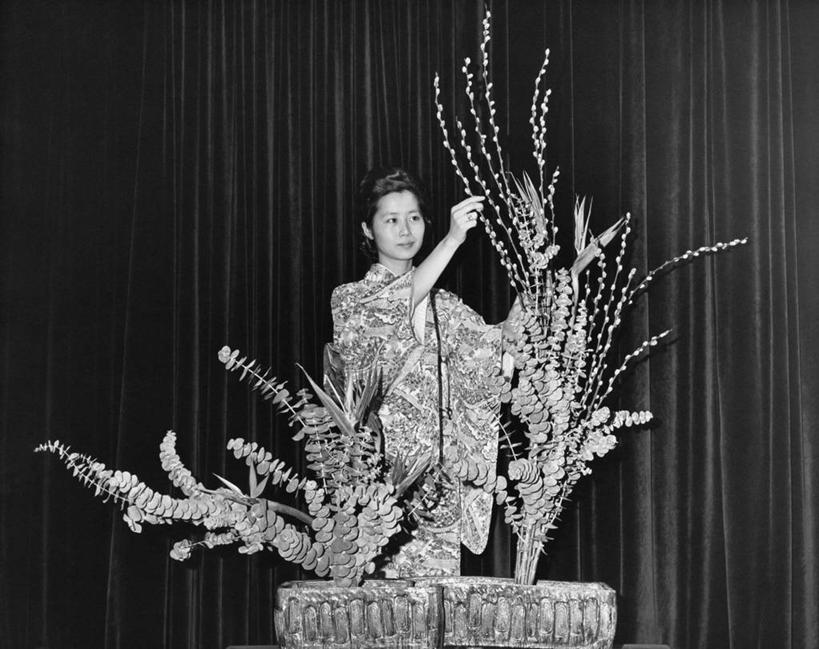 东方人,一个人,横图,黑白,室内,植物,窗帘,日本,亚洲,准备,黄种人,布置,花,排列,日本人,摄影,东亚人,女性,亚洲人,年轻人