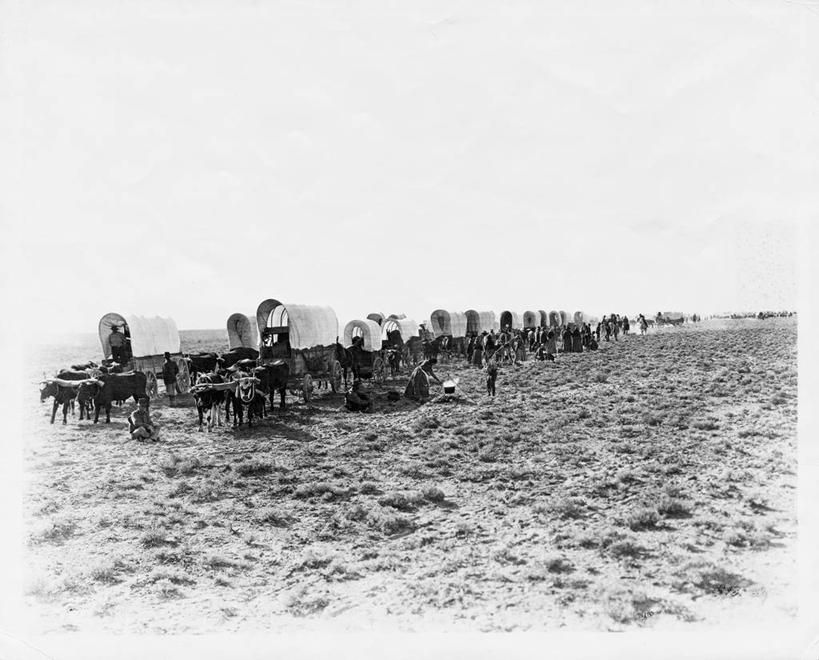 人群,横图,室外,白天,旅途,美景,马,野生动物,美国,一群,许多,覆盖,地形,景观,很多,许多人,北,古典,历史,天空,自然,动物,一群人,景色,运输,摄影,巨大,庞大,迁徙,北美,北美洲,自然风光,美洲,美国文化,万里无云,北亚美利加洲,亚美利加洲,宏大,硕大,伟大,美国人,彩图,旅行,美利坚合众国,篷车,过去