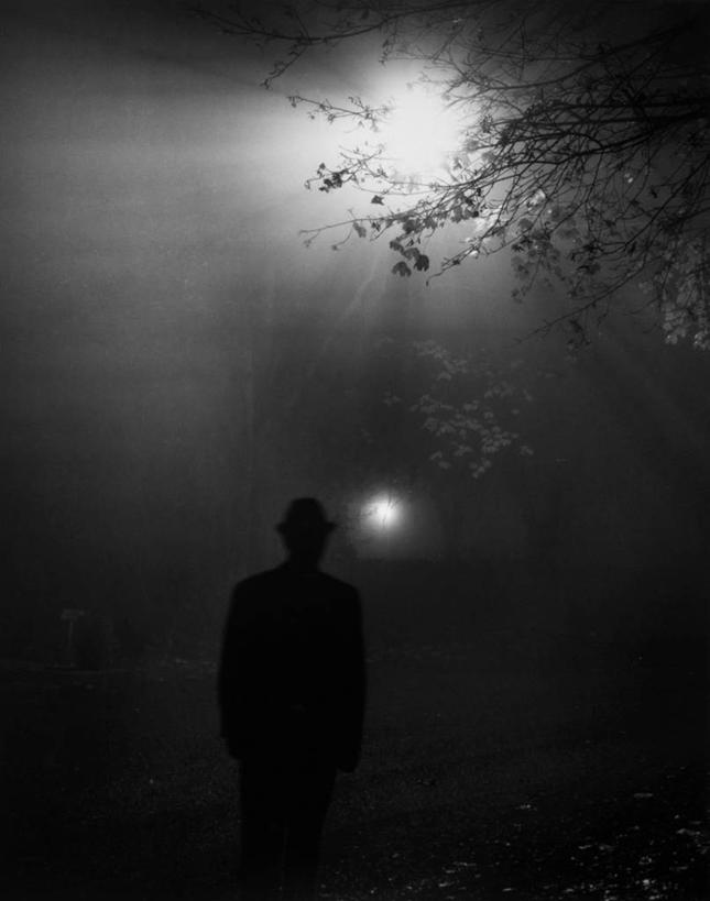成年人,一个人,竖图,黑白,室外,夜晚,神秘,雾,帽子,仅一个男性,朦胧,模糊,天气,外套,树,自然,摄影,宁静,照亮,国家公园,都市风光,剪影,男人,独处